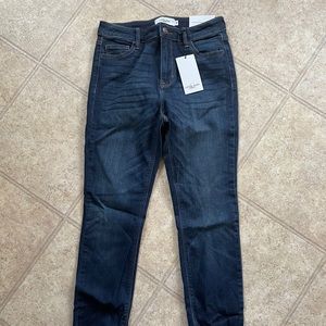 Carly Jean Los Angeles Hudson Jeans
